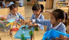 珠海幼儿园爆料新闻最新,紧急救援与后续调查展开