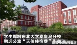 河北学校爆料事件最新情况,真相逐步浮出水面，家长学生权益再引关注